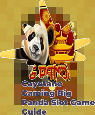 Big panda slot